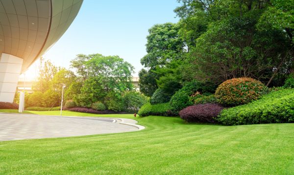 Cost of Commercial Shrub Trimming in Oceanside