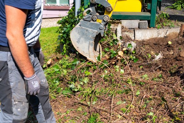 Hedge Removal Service in Oceanside