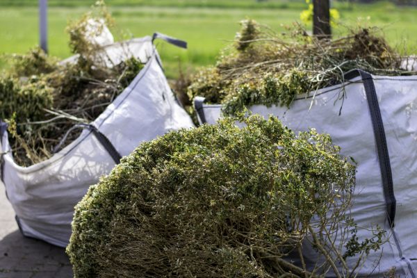 Cost of Shrubs Removal in Oceanside