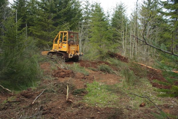 Cost of Shrubbery Clearing in Oceanside