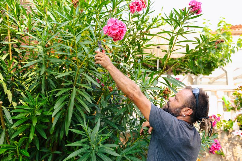 Butterfly Bush Pruning