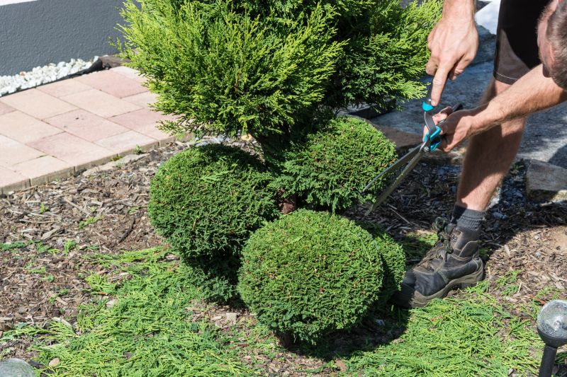 Shrub Maintenance Tools