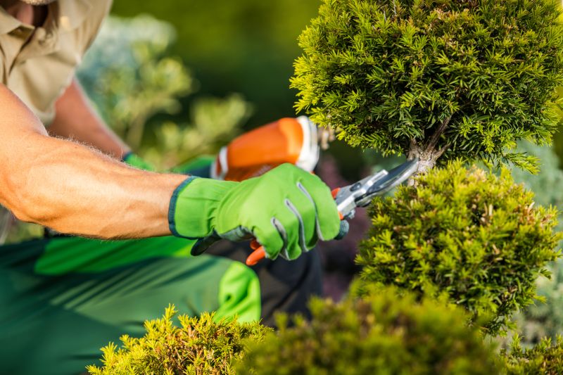 Customized shrub care