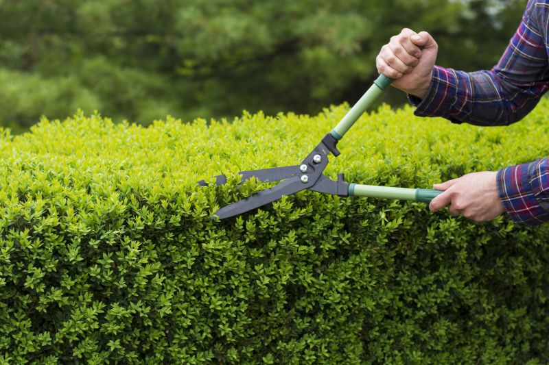 Tools used in shrub trimming